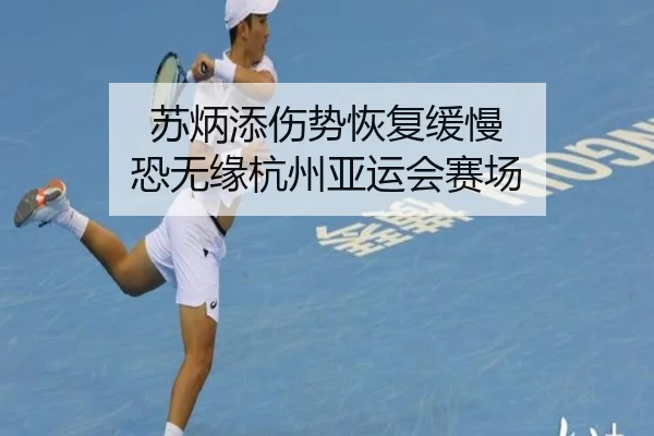 苏炳添伤势恢复缓慢 恐无缘杭州亚运会赛场