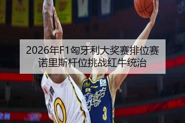 nian-xiong-ya-li-da-jiang-sai-pai-wei-sai-nuo-li-si-gan-wei-tiao-zhan-hong-niu-tong-zhi-3-505.jpg