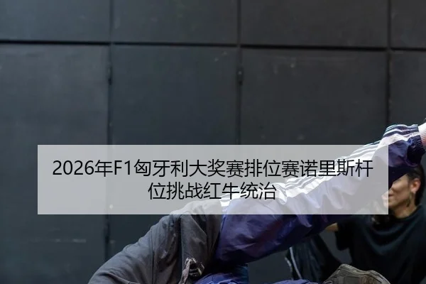 2026年F1匈牙利大奖赛排位赛诺里斯杆位挑战红牛统治