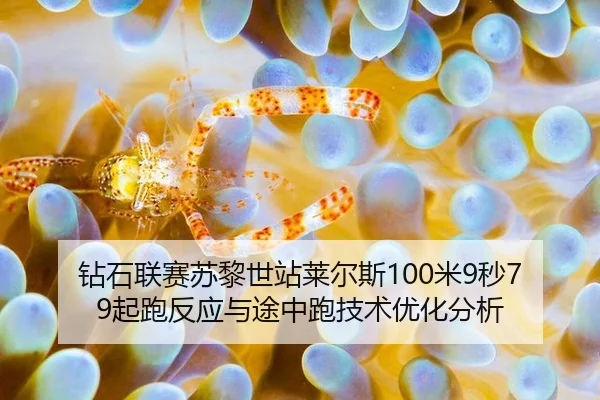 zuan-shi-lian-sai-su-li-shi-zhan-lai-er-si-mi-miao-qi-pao-fan-ying-yu-tu-zhong-pao-ji-shu-you-hua-fen-xi-3-664.jpg